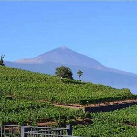 Alloggio per agriturismo Rural House Tenerife Relax And Enjoy *